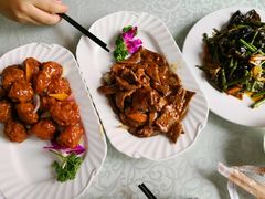 -宝发园名菜馆