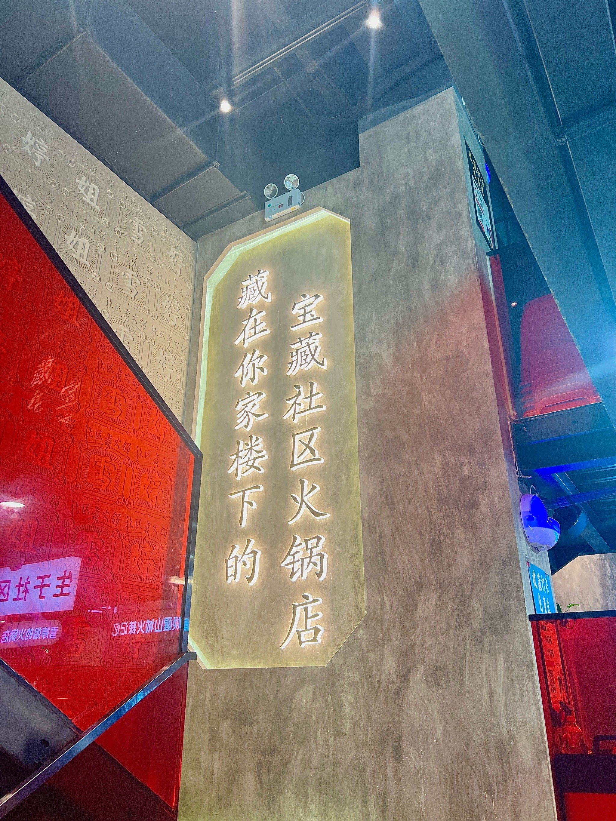 三顾"雪婷姐",真的爱上了