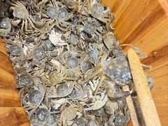 -初色海鲜自助(万丰路店)