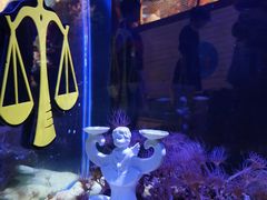 -海合安天津极地海洋公园
