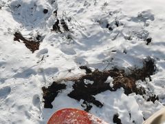 -太子岭滑雪场