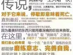 -金吉鸟健身游泳