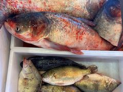 -江湖水乡铁锅炖魚(周庄嘉园店)