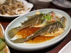 -前海沿·青岛菜(五四广场永旺店)