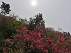 -木兰云雾山