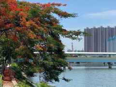 -屯门公园