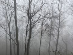 -山沟沟景区