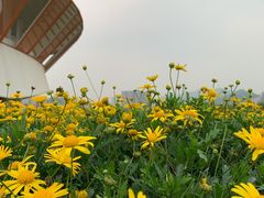 -光明小镇欢乐田园