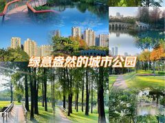 -四海公园(南山区)