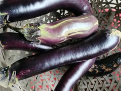 -马陆小张葡萄园农家乐