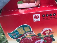 -青浦采草莓天天草莓园
