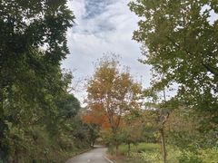 -广州市石门国家森林公园
