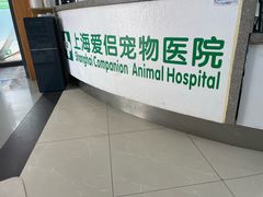 -爱侣宠医·鹦鹉专科·小型哺乳类·异宠专科(灵石路店)