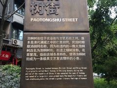 -泡桐树街