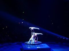 -珠海横琴长隆《卡卡虎奇遇记》