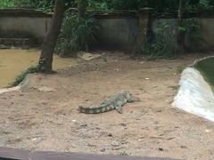 -清迈夜间动物园