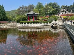 -湛山寺