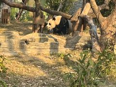 -武汉动物园