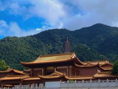 -深圳仙湖植物园