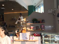 -飞行喵MR PILOT|猫舍·猫咖(静安大融城店)