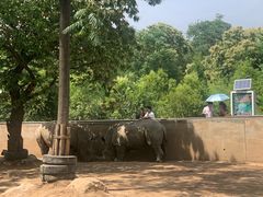 -西安秦岭野生动物园