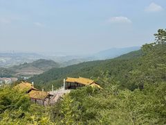 -铁山坪森林公园