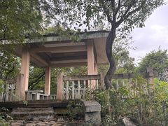 -九曜山