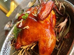 -Hi City·城市之巅