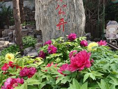 -太阳宫公园