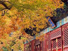 -香山公园