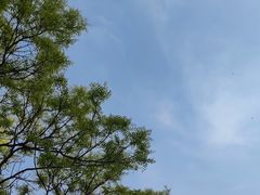 -大望京公园