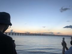 -宝安西湾红树林湿地公园