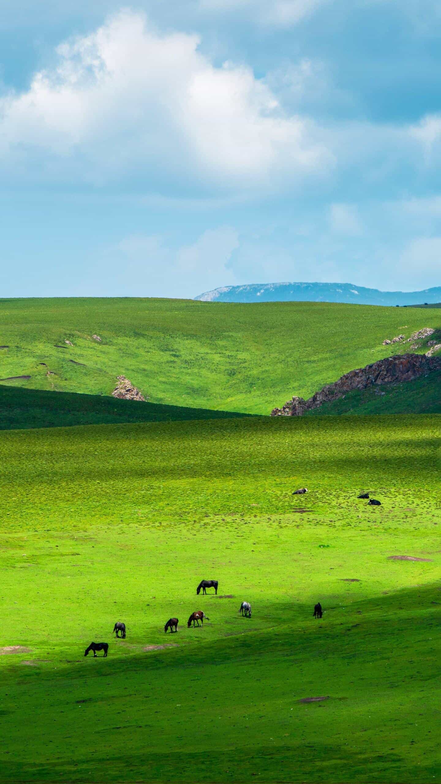 八月份,壮丽的草原绝美风景#点评正当玩