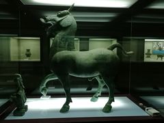 -广西壮族自治区博物馆