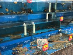 水产区-海王府百姓家宴•海鲜饺子(东城店)