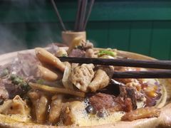 藤椒鸡肥肠煲-十六蒲(桂林路店)