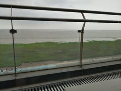-上海南汇嘴大堤酒店