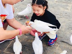 -无锡动物园·太湖欢乐园
