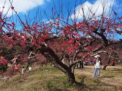 -象头山国家级自然保护区