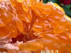 -山东师范大学(千佛山校区)