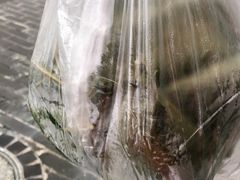 -叶婆婆豆浆馍馍