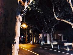 -Boxing Cat Brewery拳击猫精酿啤酒馆(永福店)