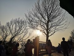 -紫金山山顶公园
