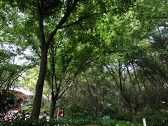 景点-天目湖山水园