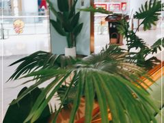 -春润大地海南椰子鸡(沙井京基百纳广场店)