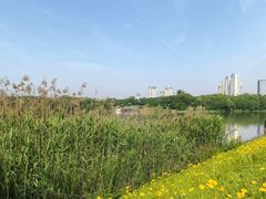 -青龙湖公园