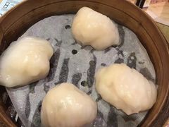 虾饺-添好运点心专门店(北角店)