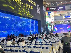 -成都浩海立方海洋公园