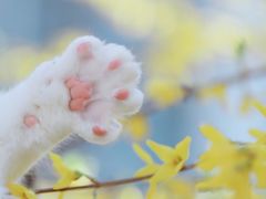 -清真·尚穆回回香清真餐厅(工人新村店)