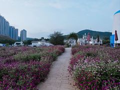 -玫瑰海岸文化旅游度假区